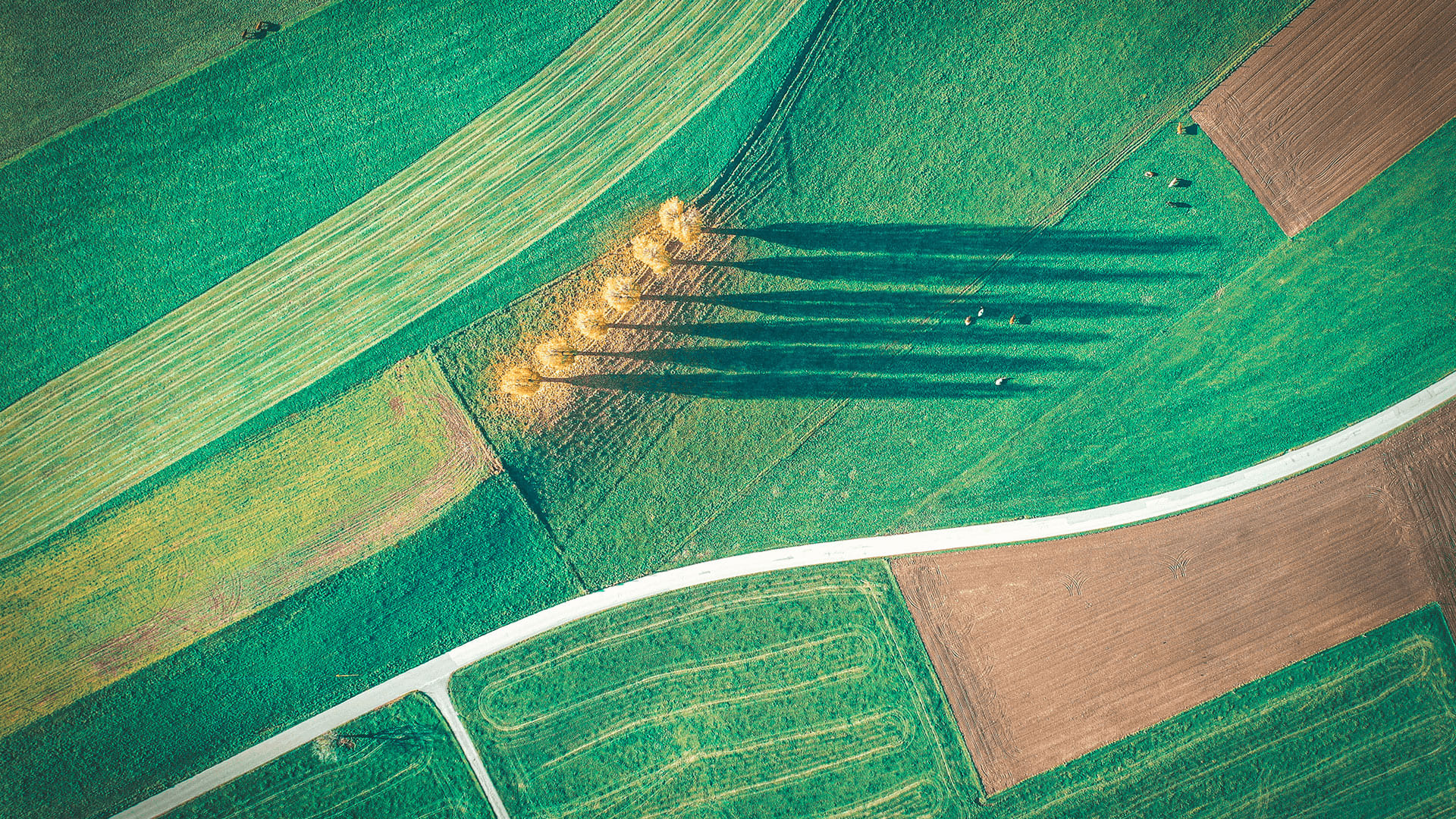 أنشئ جولتك الخاصة